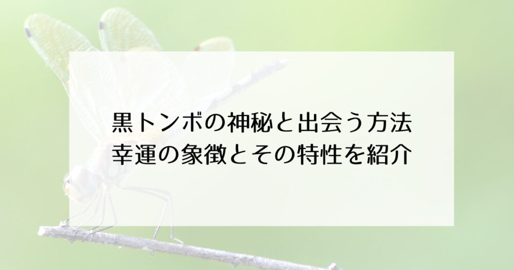 黒トンボ　幸運　出会う方法